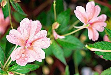 《赛博朋克2077》更新和免费DLC延期到2022年